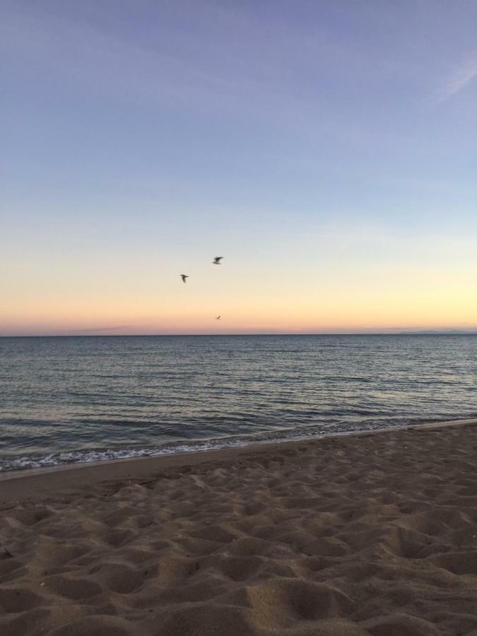 Jm Vacances Serignan Luaran gambar